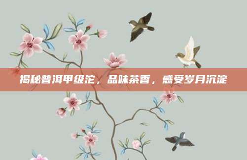 揭秘普洱甲级沱，品味茶香，感受岁月沉淀