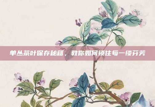 单丛茶叶保存秘籍，教你如何锁住每一缕芬芳