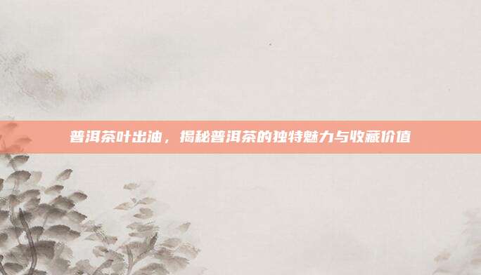 普洱茶叶出油，揭秘普洱茶的独特魅力与收藏价值