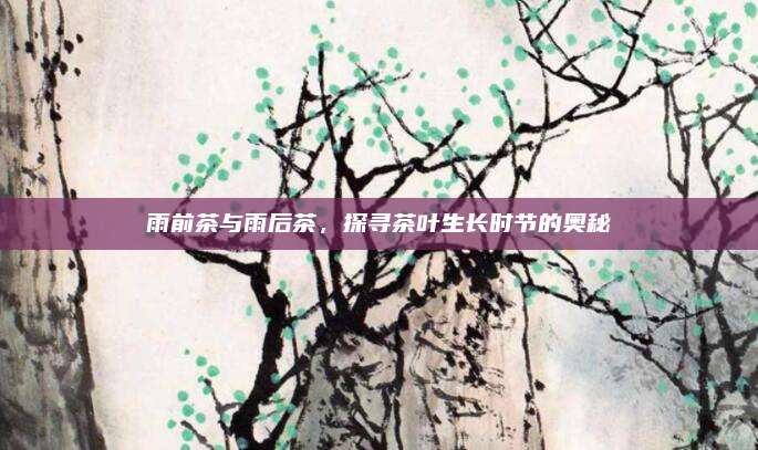 雨前茶与雨后茶，探寻茶叶生长时节的奥秘