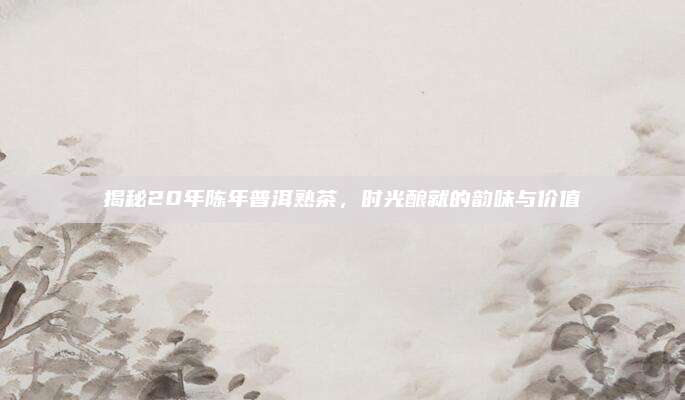 揭秘20年陈年普洱熟茶,时光酿就的韵味与价值