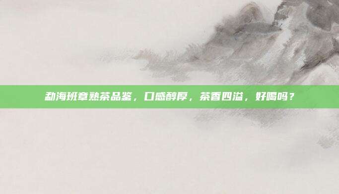 勐海班章熟茶品鉴，口感醇厚，茶香四溢，好喝吗？