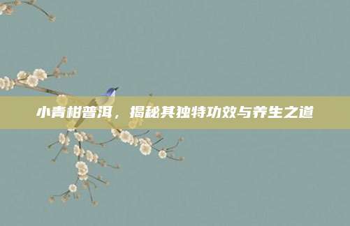 小青柑普洱，揭秘其独特功效与养生之道