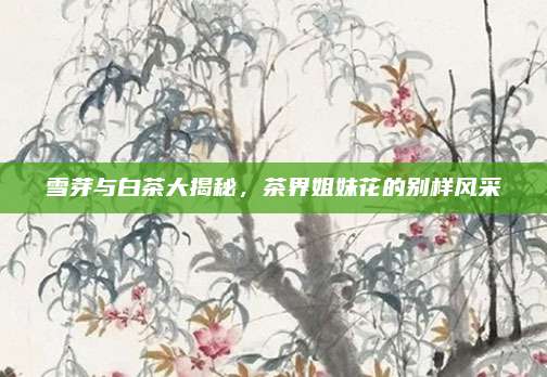 雪芽与白茶大揭秘，茶界姐妹花的别样风采