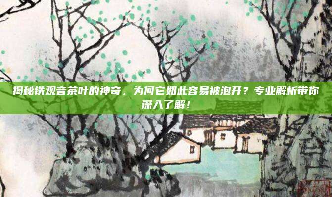 揭秘铁观音茶叶的神奇，为何它如此容易被泡开？专业解析带你深入了解！