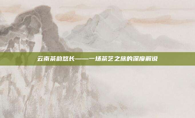 云南茶韵悠长——一场茶艺之旅的深度解说