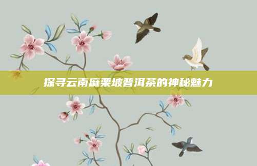 探寻云南麻栗坡普洱茶的神秘魅力