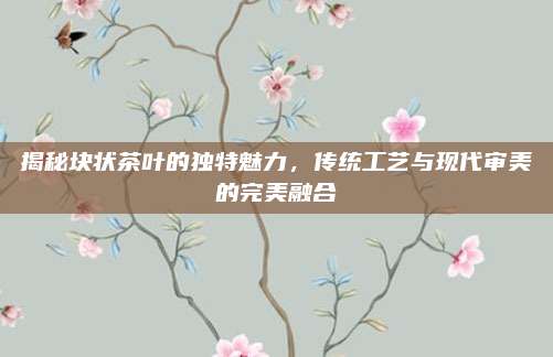 揭秘块状茶叶的独特魅力，传统工艺与现代审美的完美融合