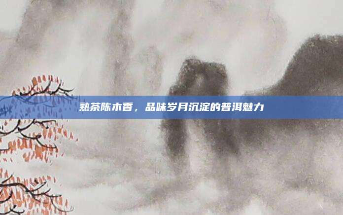 熟茶陈木香，品味岁月沉淀的普洱魅力
