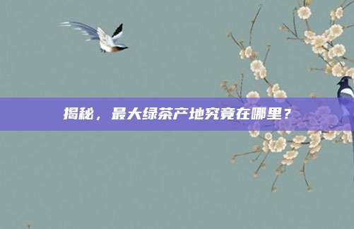 揭秘，最大绿茶产地究竟在哪里？