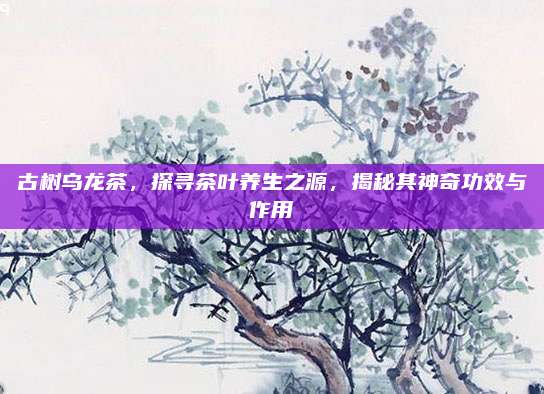 古树乌龙茶，探寻茶叶养生之源，揭秘其神奇功效与作用