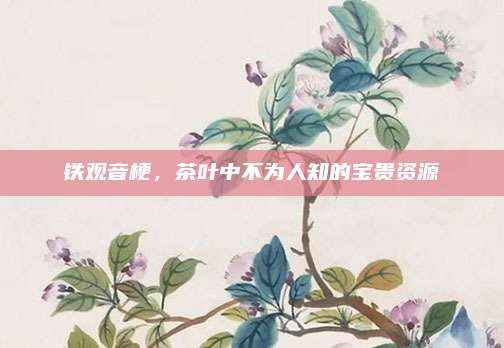 铁观音梗，茶叶中不为人知的宝贵资源