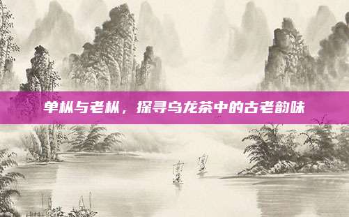 单枞与老枞，探寻乌龙茶中的古老韵味