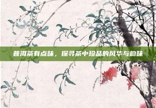 普洱茶有点味，探寻茶中珍品的风华与韵味