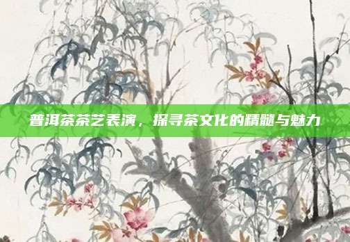 普洱茶茶艺表演，探寻茶文化的精髓与魅力