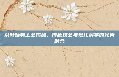 茶叶晒制工艺揭秘，传统技艺与现代科学的完美融合