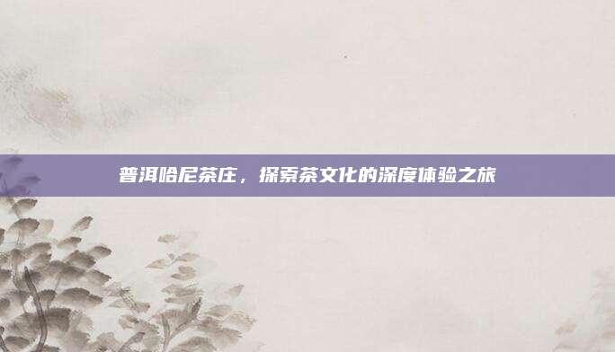 普洱哈尼茶庄，探索茶文化的深度体验之旅