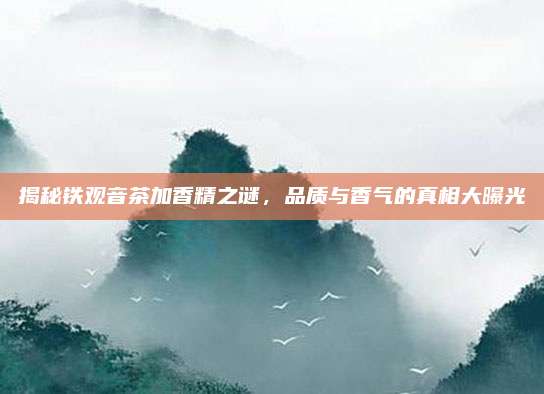 揭秘铁观音茶加香精之谜，品质与香气的真相大曝光