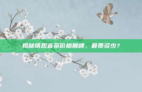 揭秘铁观音茶价格巅峰，最贵多少？