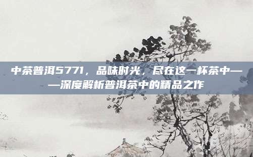 中茶普洱5771，品味时光，尽在这一杯茶中——深度解析普洱茶中的精品之作