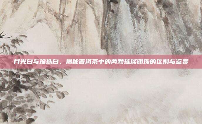 月光白与珍珠白，揭秘普洱茶中的两颗璀璨明珠的区别与鉴赏