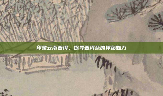 印象云南普洱，探寻普洱茶的神秘魅力