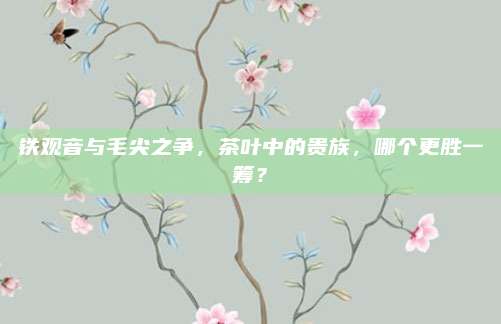 铁观音与毛尖之争，茶叶中的贵族，哪个更胜一筹？