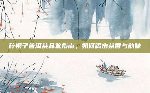 碎银子普洱茶品鉴指南，如何喝出茶香与韵味