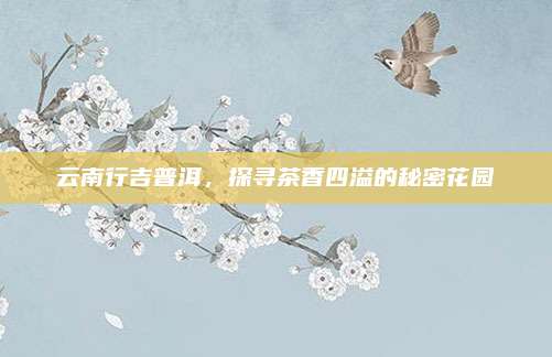 云南行吉普洱，探寻茶香四溢的秘密花园