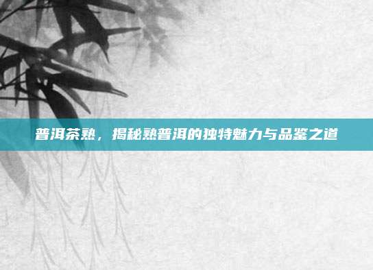 普洱茶熟，揭秘熟普洱的独特魅力与品鉴之道