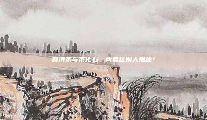 普洱茶与茶化石，两者区别大揭秘！