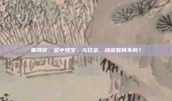 普洱茶，茶中瑰宝，与红茶、绿茶有何不同？