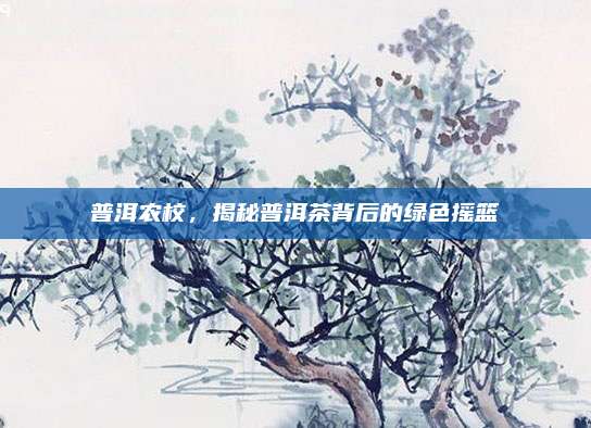 普洱农校，揭秘普洱茶背后的绿色摇篮