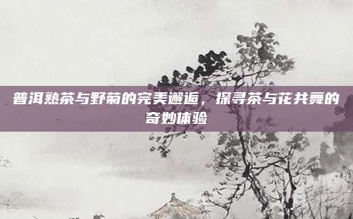 普洱熟茶与野菊的完美邂逅，探寻茶与花共舞的奇妙体验