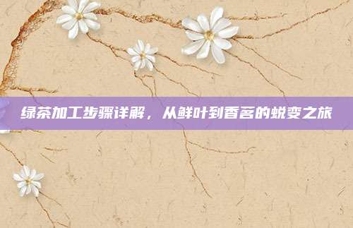 绿茶加工步骤详解，从鲜叶到香茗的蜕变之旅