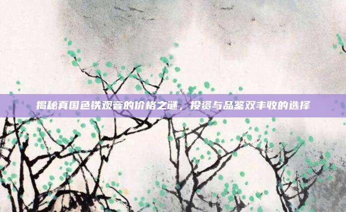 揭秘真国色铁观音的价格之谜，投资与品鉴双丰收的选择