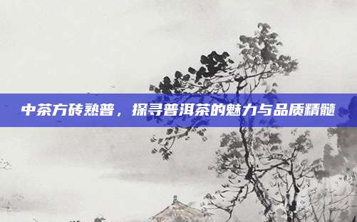 中茶方砖熟普，探寻普洱茶的魅力与品质精髓