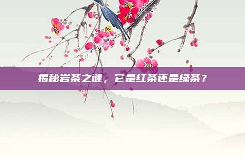 揭秘岩茶之谜，它是红茶还是绿茶？