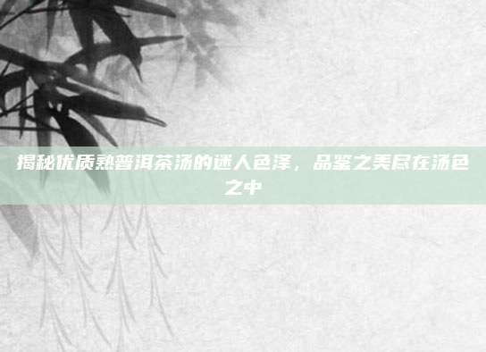 揭秘优质熟普洱茶汤的迷人色泽，品鉴之美尽在汤色之中