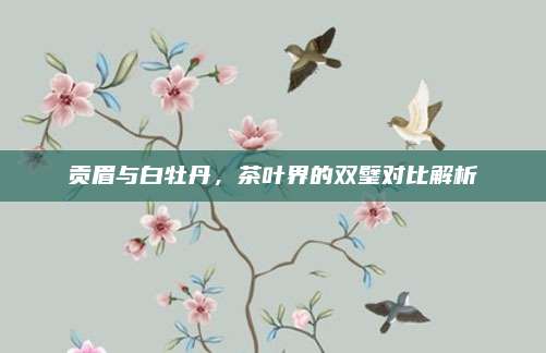 贡眉与白牡丹，茶叶界的双璧对比解析