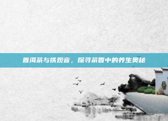 普洱茶与铁观音,探寻茶香中的养生奥秘