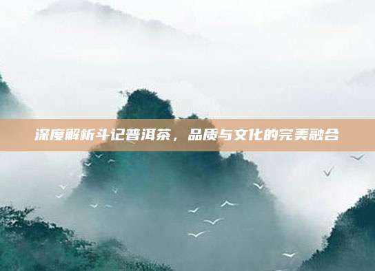 深度解析斗记普洱茶，品质与文化的完美融合