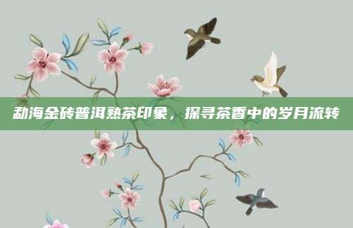 勐海金砖普洱熟茶印象，探寻茶香中的岁月流转