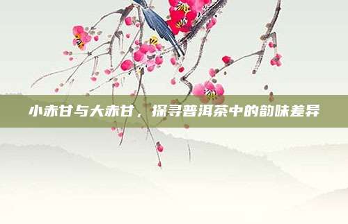 小赤甘与大赤甘，探寻普洱茶中的韵味差异