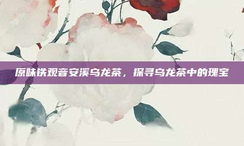 原味铁观音安溪乌龙茶，探寻乌龙茶中的瑰宝