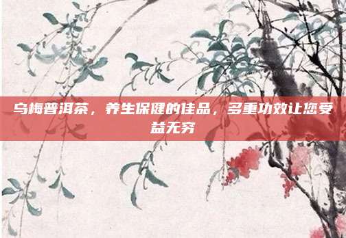 乌梅普洱茶，养生保健的佳品，多重功效让您受益无穷