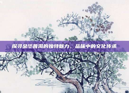 探寻金华普洱的独特魅力，品味中的文化传承