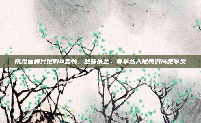 铁观音贵宾定制6盒装,品味茶艺,尊享私人定制的高雅享受