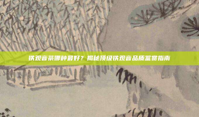 铁观音茶哪种最好？揭秘顶级铁观音品质鉴赏指南