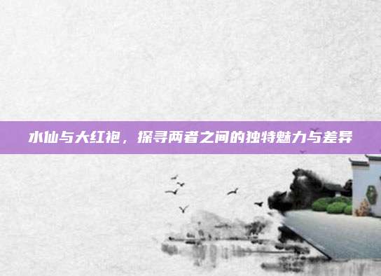 水仙与大红袍,探寻两者之间的独特魅力与差异